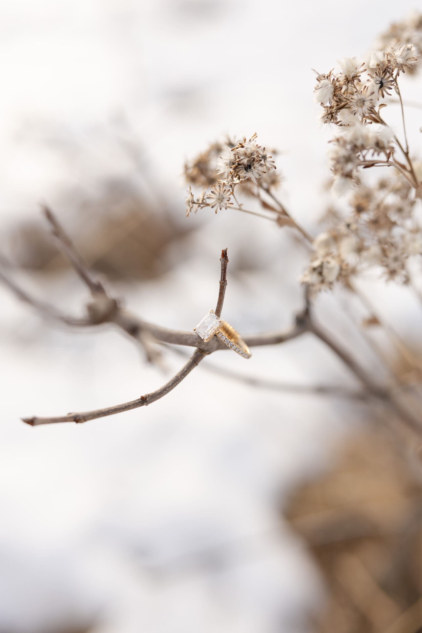 Engagement session in Rice Minnesota
